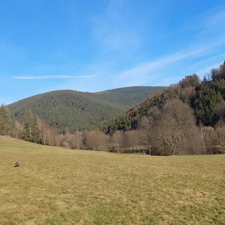 Alte Rohrbach (Thuringia)