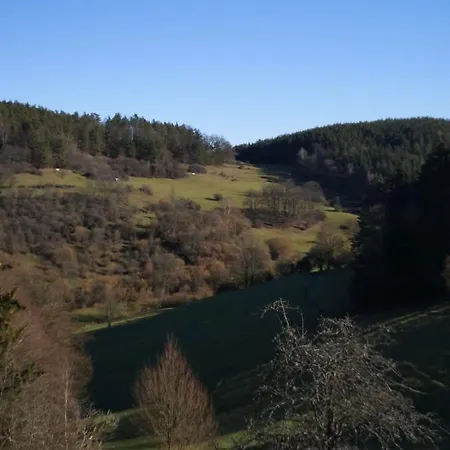 Alte
